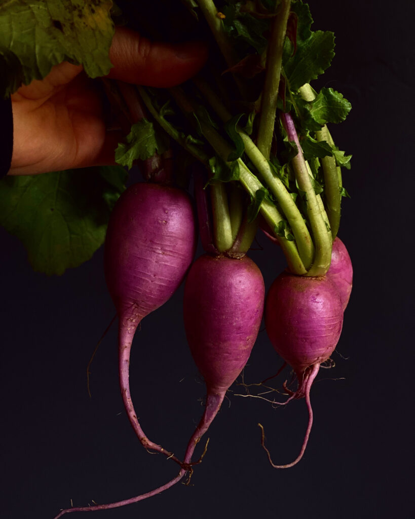 Picture of purple raddishes